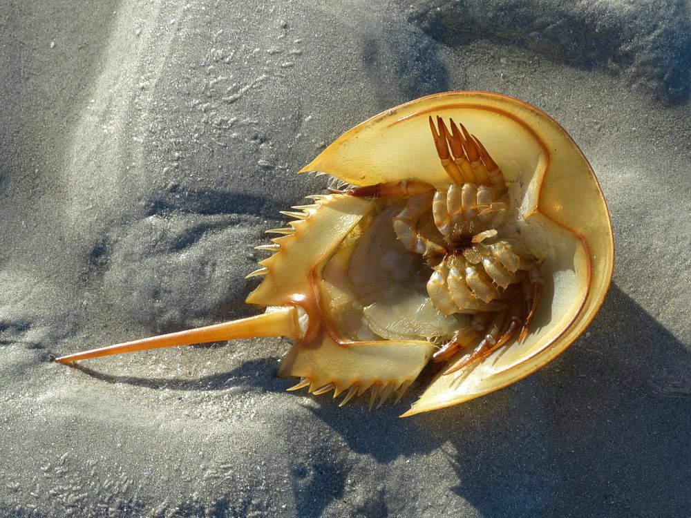 Click to See Next Image